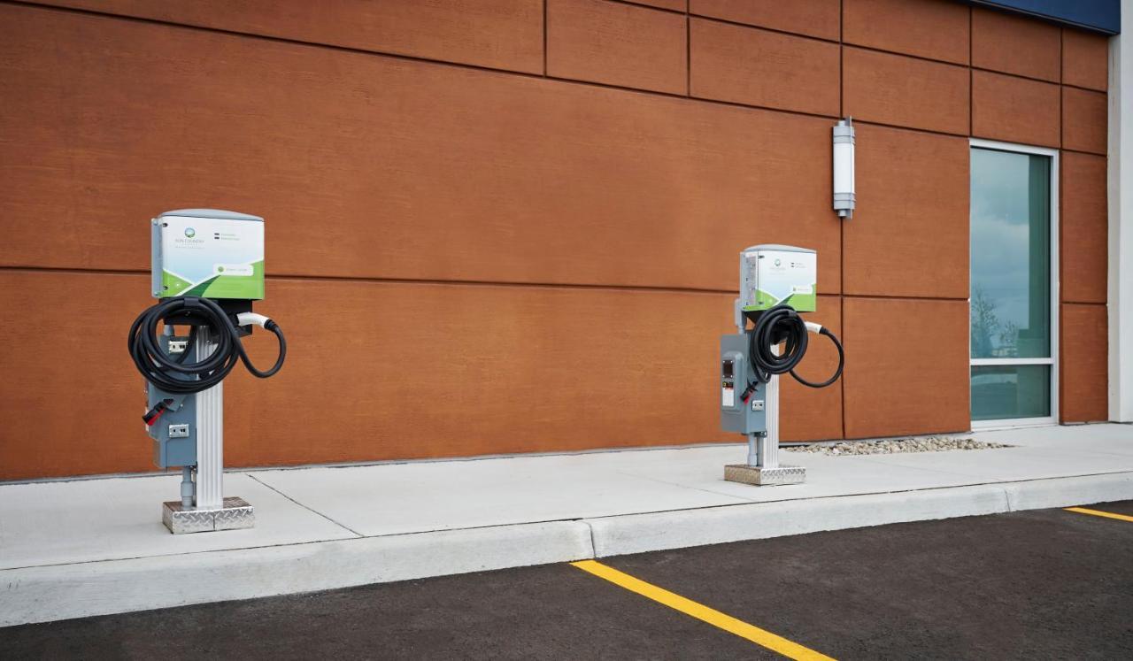 Holiday Inn Express & Suites Windsor East - Lakeshore By Ihg Tecumseh Eksteriør billede